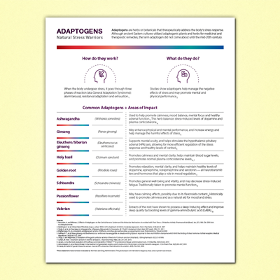 Bliss Adaptogens Infographic Flyer
